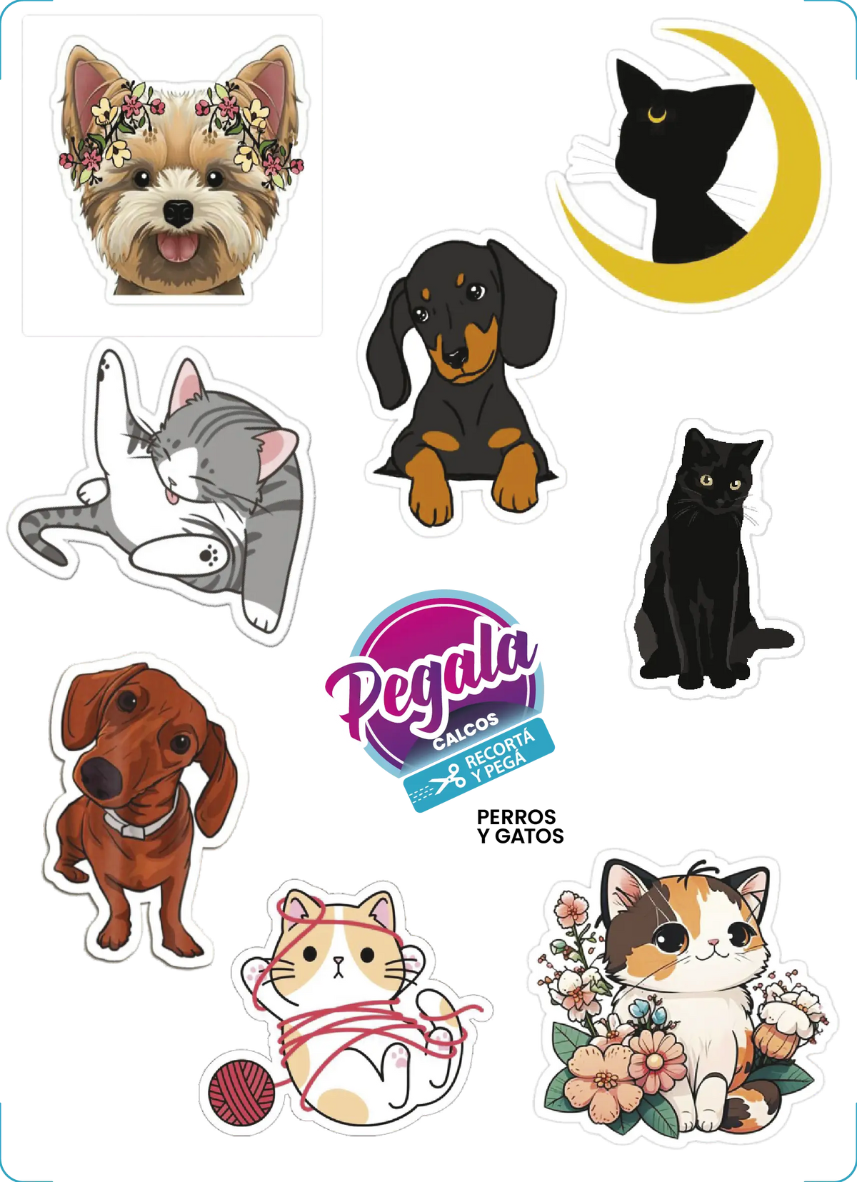 Perros y Gatos