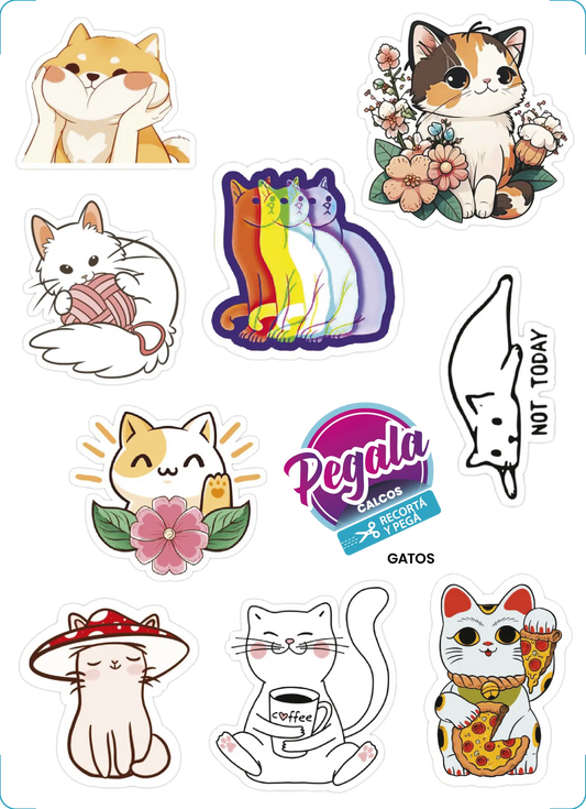 Gatos