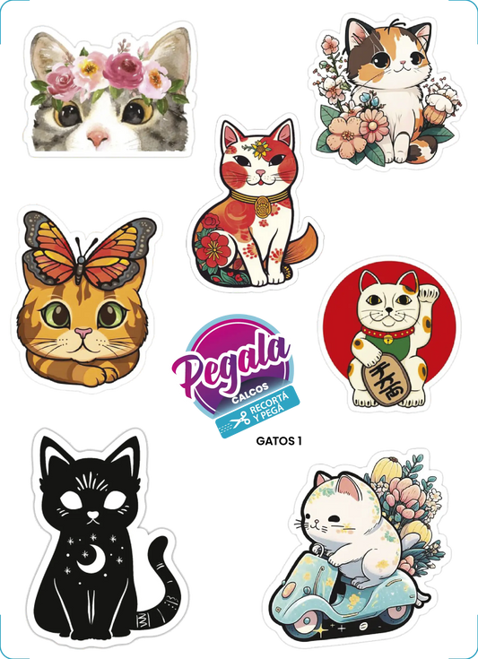 Gatos 1