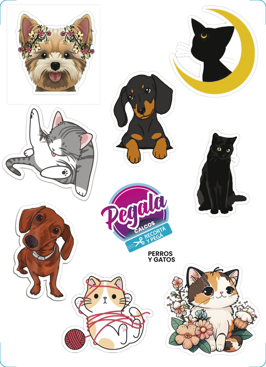 Perros y Gatos